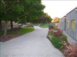 School b
