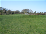 Oakwood Infants Playing Fields and Woods