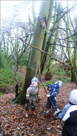 Autumn Forest School