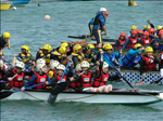 IOW residential