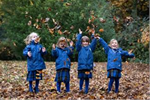 Reception Autumn Leaves